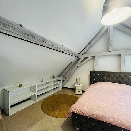 Appartement Ideal Au Coeur D Осер Екстер'єр фото