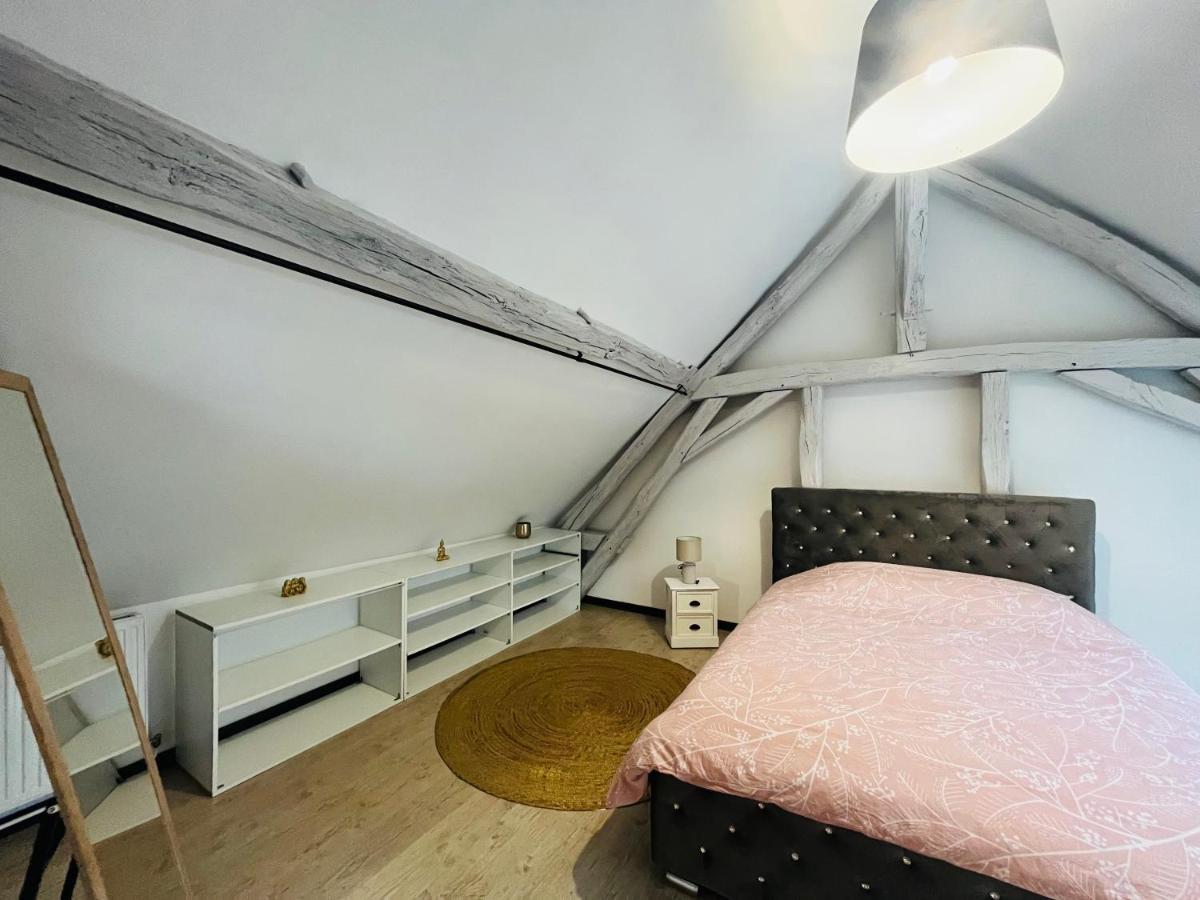 Appartement Ideal Au Coeur D Осер Екстер'єр фото